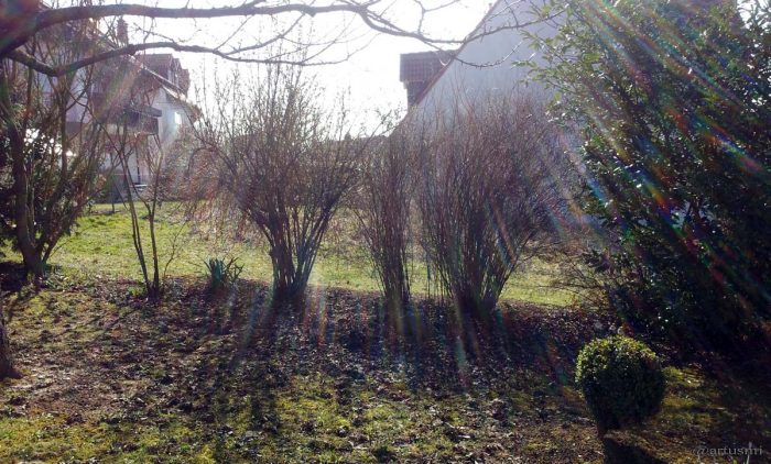Schräg einfallendes Sonnenlicht während der Sofi am 20. März 2015