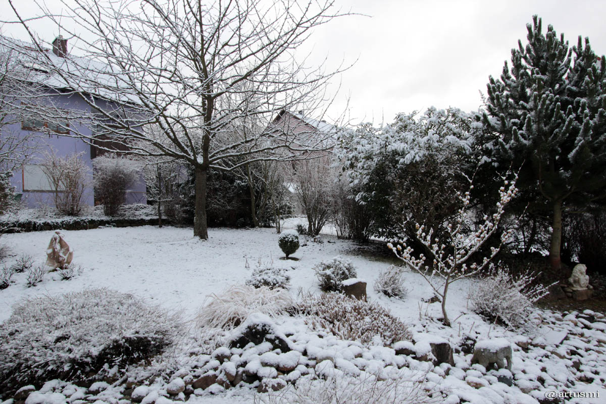 Unser Garten im Winter - 2. Februar 2015 um 08:37 Uhr