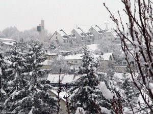 Winterliches Eisingen am 12. Dezember 2008 um 12:00 Uhr