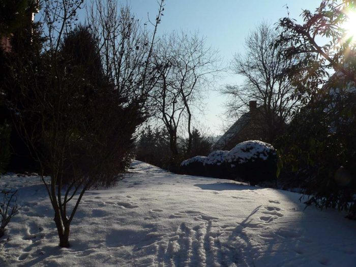 Schnee in unserem Garten am 10. Januar 2009 um 12:37 Uhr