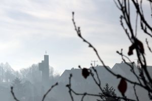 Nebel am 22. November 2012 um 09:37 Uhr