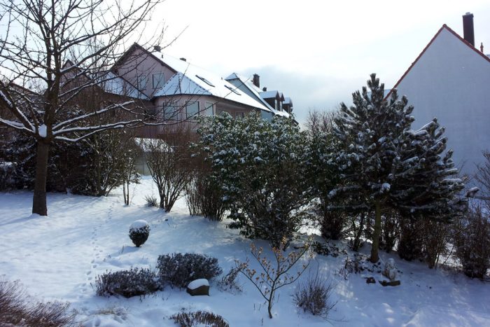Unser Garten am 13. März 2013 um 09:58 Uhr