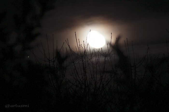 Saturn und Mond am 21. März 2014 um 00:06 Uhr