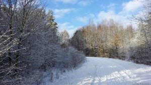 Winter in Mainfranken - 17. Januar 2016 um 14:33 Uhr