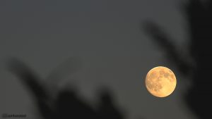Der Mond am 18. Juli 2016 um 21:18 Uhr