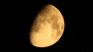 Goldener Henkel am Mond - 11. September 2016, 23:15 Uhr