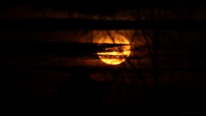 Monduntergang hinter Wolken - 13. Dezember 2016, 06:35 Uhr