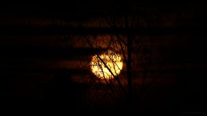 Monduntergang hinter Wolken - 13. Dezember 2016, 06:36 Uhr