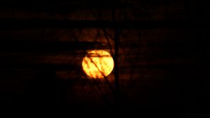 Monduntergang hinter Wolken - 13. Dezember 2016, 06:37 Uhr