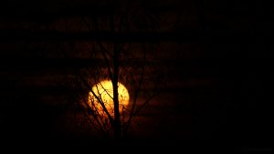 Monduntergang hinter Wolken - 13. Dezember 2016, 06:38 Uhr