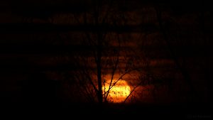 Monduntergang hinter Wolken - 13. Dezember 2016, 06:41 Uhr