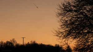 Schmale Mondsichel nach Neumond am 30. Dezember 2016 um 16:57 Uhr