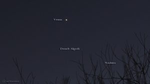 Venus oberhalb der Steinbocksterne Deneb Algedi und Nashira am 30. Dezember 2016 um 17:25 Uhr