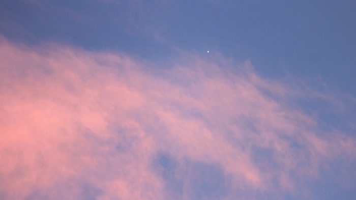 Venus am 4. Januar 2017 um 16:35 Uhr