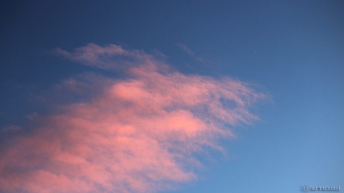 Venus am 4. Januar 2017 um 16:36 Uhr