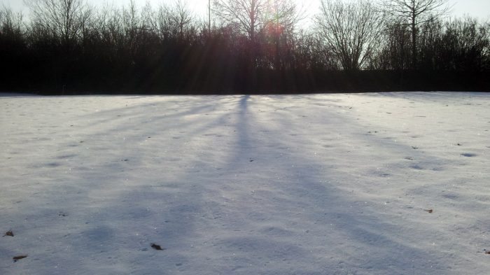 Sonne, Schnee, Licht und Schatten - 22. Januar 2017, 13:06 Uhr