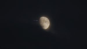 Goldener Henkel am zunehmenden Mond - 6. Februar 2017, 19:57 Uhr