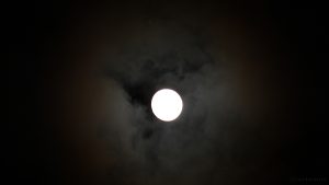 Mond trifft Regulus am 10. März 2017 um 23:44 Uhr
