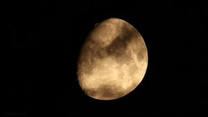 Goldener Henkel am Mond - 7. April 2017, 03:49 Uhr