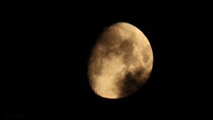 Goldener Henkel am Mond - 7. April 2017, 03:49 Uhr