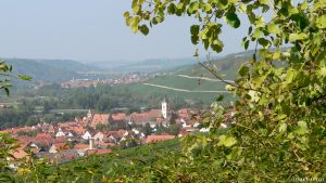 Blick vom Panoramaweg auf Sommerhausen