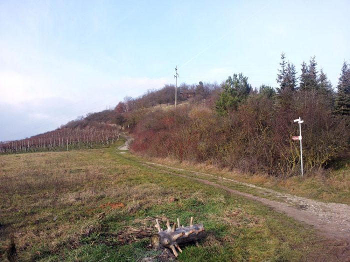 Panorama-Höhenweg bei Kleinochsenfurt