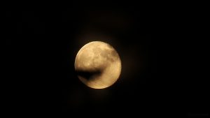 Abnehmender Mond hinter Sträuchern - 12. Mai 2017, 23:30 Uhr