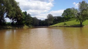 Landschaftssee im Zeubelrieder Moor