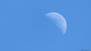 Zunehmender Mond mit randfernem Mare Crisium am 31. Mai 2017 um 17:53 Uhr
