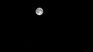 Mond und Saturn am 10. Juni 2017 um 01:37 Uhr