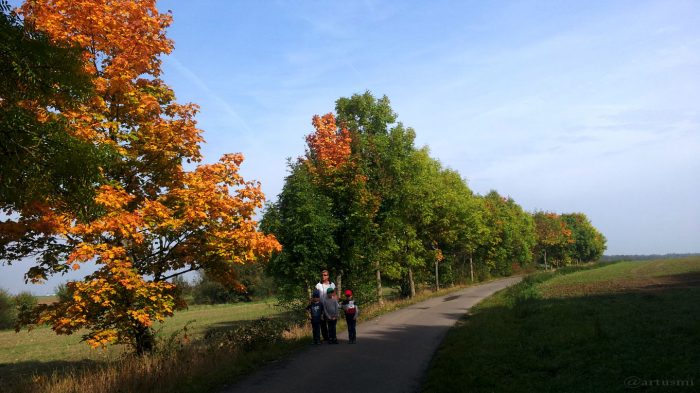 Wirtschaftsweg zwischen Eisingen und Waldbüttelbrunn am 30. September 2017 um 12:09 Uhr