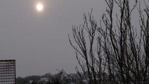 Sonnenstand am 8. Januar 2010 um 10:37 Uhr