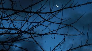 Abnehmende Mondsichel und Jupiter am 14. Dezember 2017 um 07:33 Uhr
