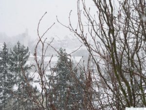 Winter mit sehr viel Schnee in Eisingen am 19. Dezember 2010