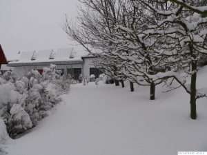 Winter mit sehr viel Schnee in Eisingen am 25. Dezember 2010