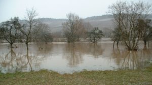 Hochwasser in Goßmannsdorf am Main am 6. Januar 2003