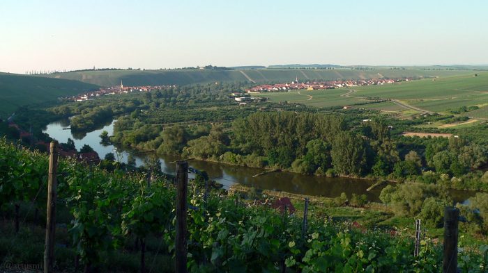 Mainschleife und Weininsel mit den Orten Köhler, Escherndorf und Nordheim