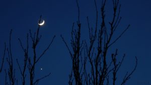 Zunehmender Mond mit Erdlicht und Venus am 30. Januar 2009 um 17:53 Uhr