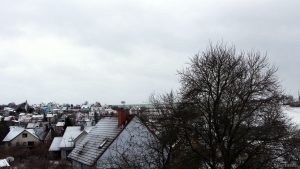 Wetterbild vom 17. Januar 2018 um 09:33 Uhr Richtung Süden