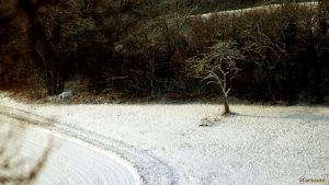 Eisinger Flur am 5. Februar 2018 um 10:46 Uhr
