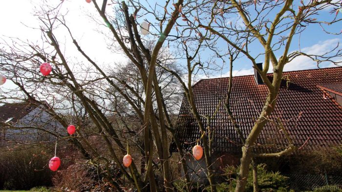 Unser Garten am 1. April 2018 (Ostersonntag) um 13:08 Uhr