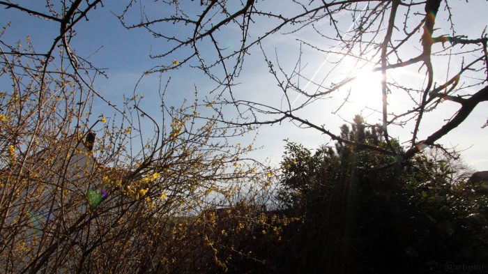 Der Frühling hält Einzug in Mainfranken - Unser Garten am 2. April 2018 (Ostermontag) um 16:37 Uhr