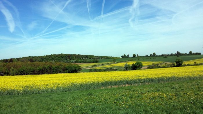 Rapsfelder am 27. April 2018 um 10:42 Uhr