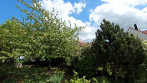 Sehr windig - Unser Garten am 30. April 2018 um 13:28 Uhr