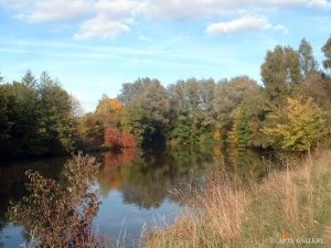 Fischweier bei Sommerhausen im Lkr. Würzburg