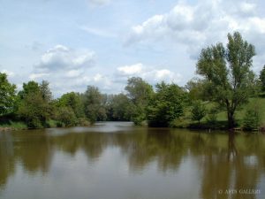 Fischweier bei Sommerhausen im Lkr. Würzburg
