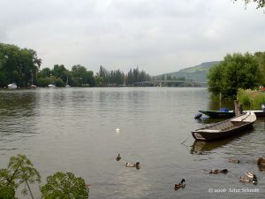 Der Main bei Veitshöchheim im Lkr. Würzburg