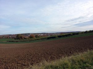 Flur bei Hettstadt im Lkr. Würzburg