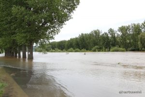 Hochwasser in Sommerhausen am Main