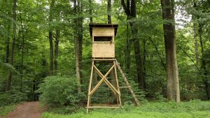 Hochsitz am Waldrand bei Höchberg am 22. Juni 2018 um 11:19 Uhr